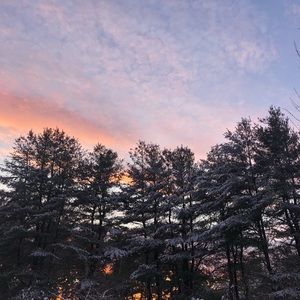 Meet your Posher, Diana